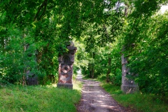 IMGP7825