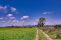 IMGP8689