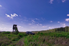IMGP8698
