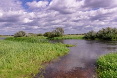 IMGP8704