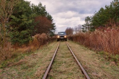 IMGP9001