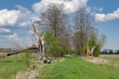 IMGP9494