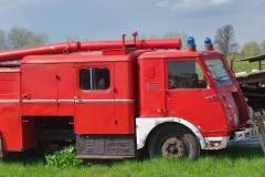 IMGP9501