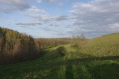 IMGP9536