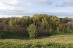 IMGP9542