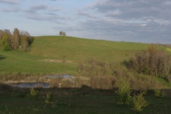 IMGP9545