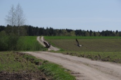 IMGP9553