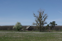 IMGP9567
