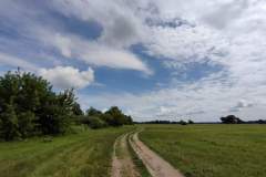 IMG20220809112929