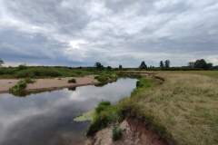 IMG20220809141154