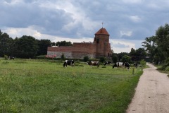 IMG20220809144059
