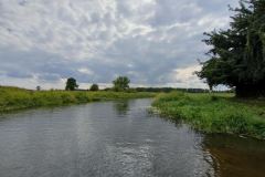 IMG20220809144625