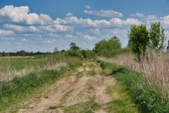IMGP1591