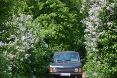 IMGP1598