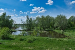 IMGP1600