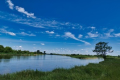 IMGP3852