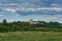 IMGP3871