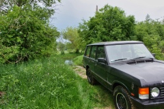 IMGP4003