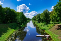 IMGP4563
