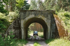 IMGP2041