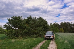 IMGP5136