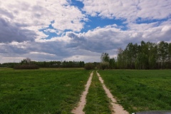 IMGP5138