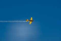 IMGP1731