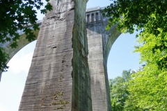 IMGP0858
