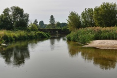 IMGP2482