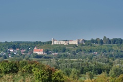 IMGP2509