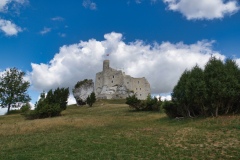 IMGP8280