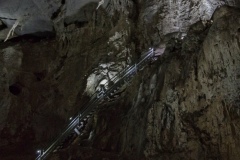 IMGP8753