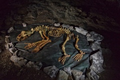 IMGP8767