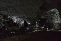 IMGP8770