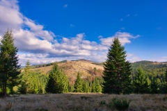 IMGP8790