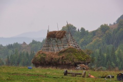 IMGP8833