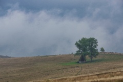IMGP8840