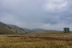 IMGP8843