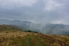 IMGP8848