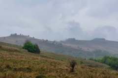 IMGP8855