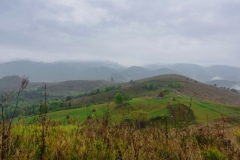 IMGP8857