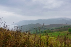 IMGP8859