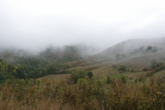 IMGP8865