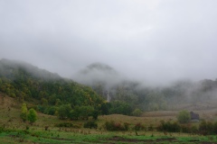 IMGP8868