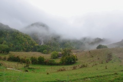 IMGP8869