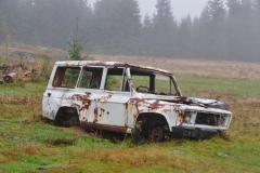 IMGP8879