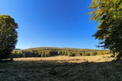 IMG_20261005_102545524_HDR