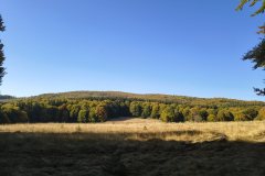 IMG_20261005_102550795_HDR