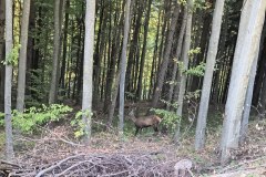 IMG_20261005_171206168_HDR