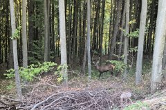 IMG_20261005_171207786_HDR